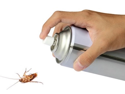 殺蟲氣霧劑 殺蟲氣霧劑